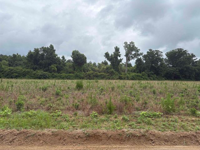 TBD Coney Dr., Longs, SC 29568