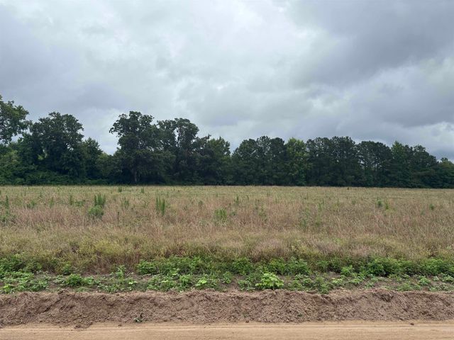 TBD Coney Dr., Longs, SC 29568