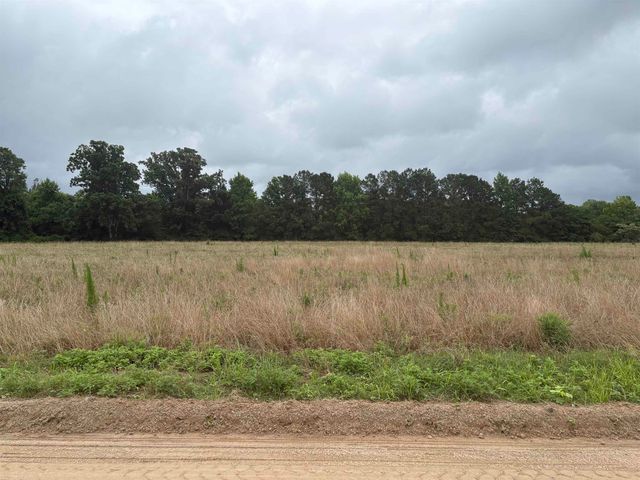 TBD Coney Dr., Longs, SC 29568