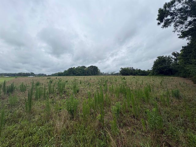 TBD Coney Dr., Longs, SC 29568