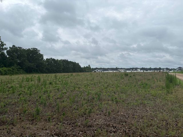 TBD Coney Dr., Longs, SC 29568