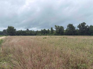 TBD Coney Dr., Longs, SC 29568