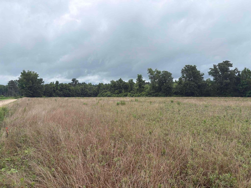 TBD Coney Dr., Longs, SC 29568