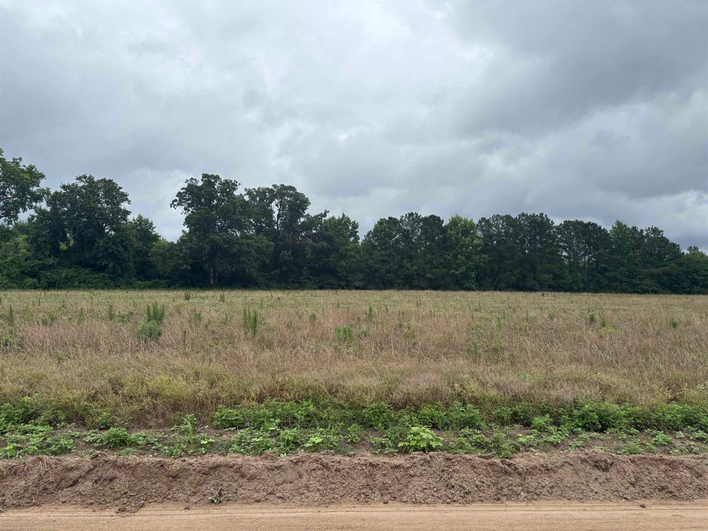 TBD Coney Dr., Longs, SC 29568 — photo 4