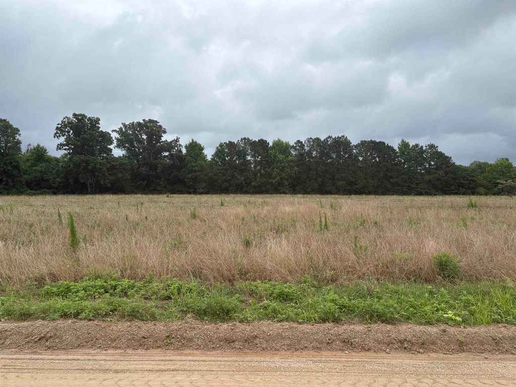 TBD Coney Dr., Longs, SC 29568 — photo 5