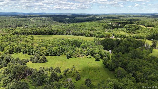 342 Bernas Road, Cochecton, NY 12726