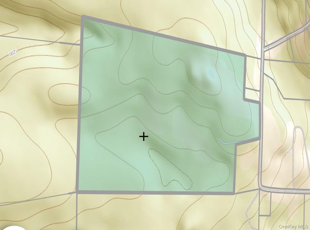 342 Bernas Road, Cochecton, NY 12726