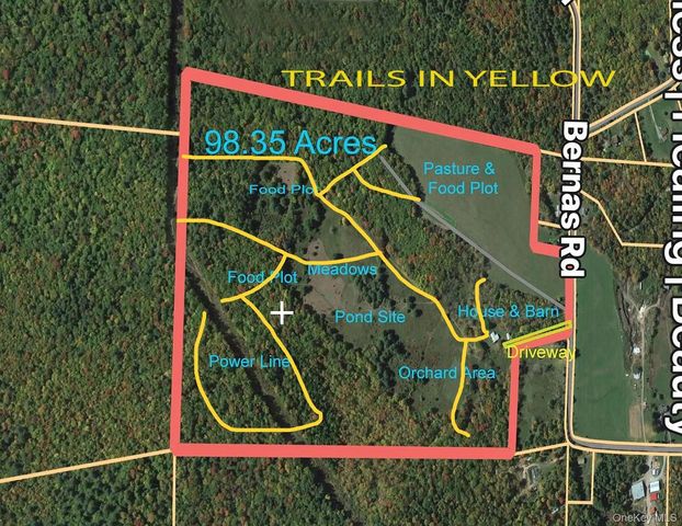 342 Bernas Road, Cochecton, NY 12726