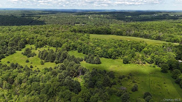 342 Bernas Road, Cochecton, NY 12726