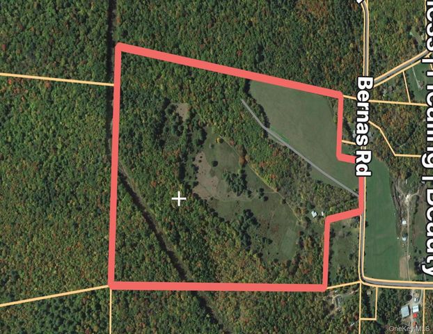 342 Bernas Road, Cochecton, NY 12726