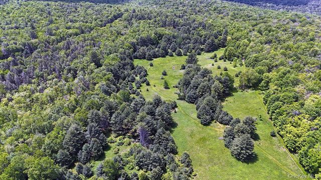 342 Bernas Road, Cochecton, NY 12726