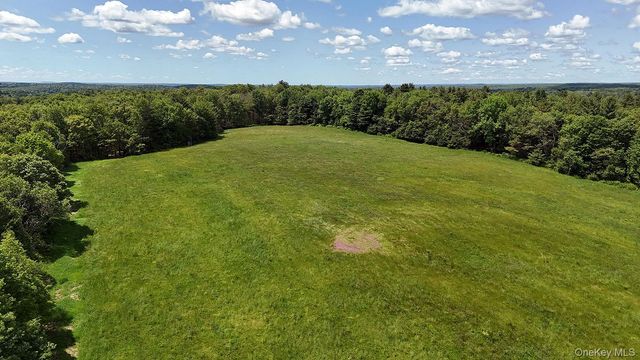 342 Bernas Road, Cochecton, NY 12726