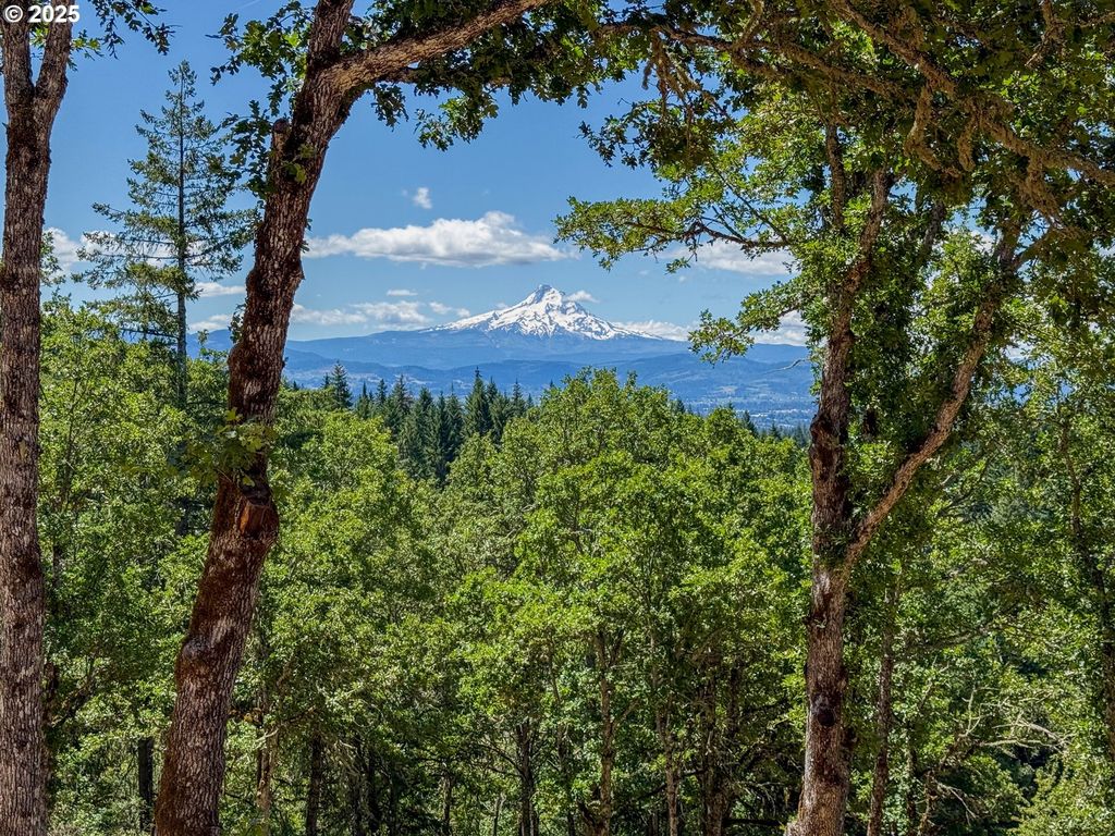 34 JEWETT CREEK LOOP Rd, White Salmon, WA 98672