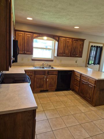 785 W Apache Street, Republic, MO 65738