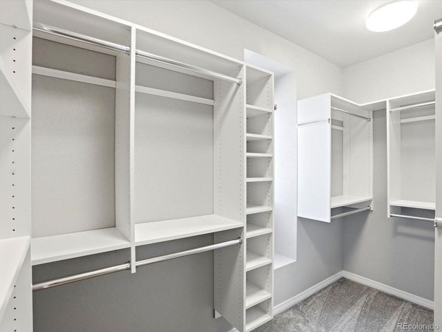 1897 Quest Dr, Erie, CO 80516