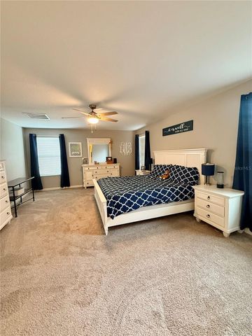 14250 BLUE DASHER DRIVE, Riverview, FL 33569