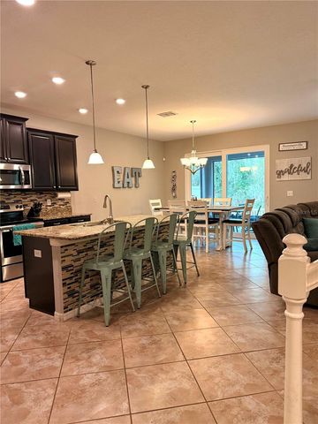 14250 BLUE DASHER DRIVE, Riverview, FL 33569