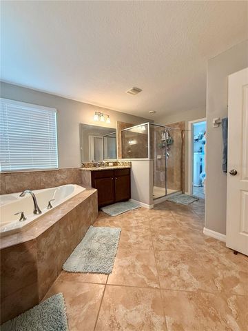 14250 BLUE DASHER DRIVE, Riverview, FL 33569