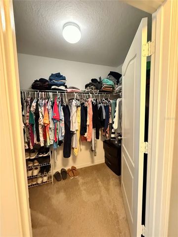 14250 BLUE DASHER DRIVE, Riverview, FL 33569