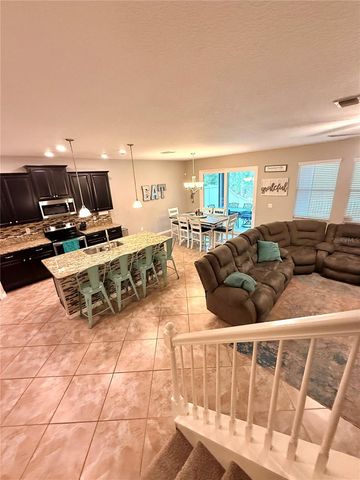 14250 BLUE DASHER DRIVE, Riverview, FL 33569