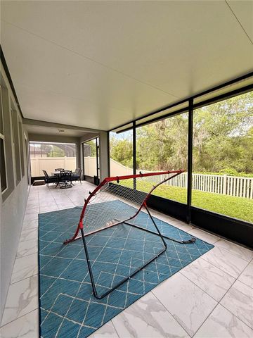 14250 BLUE DASHER DRIVE, Riverview, FL 33569