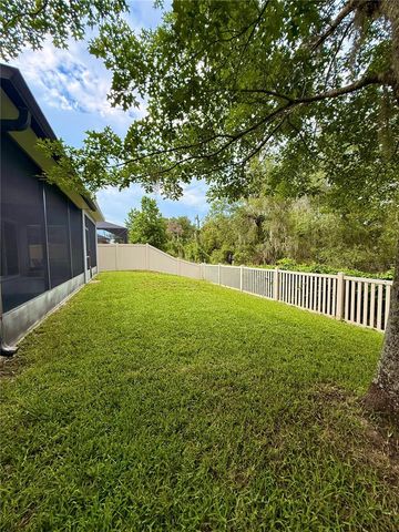 14250 BLUE DASHER DRIVE, Riverview, FL 33569