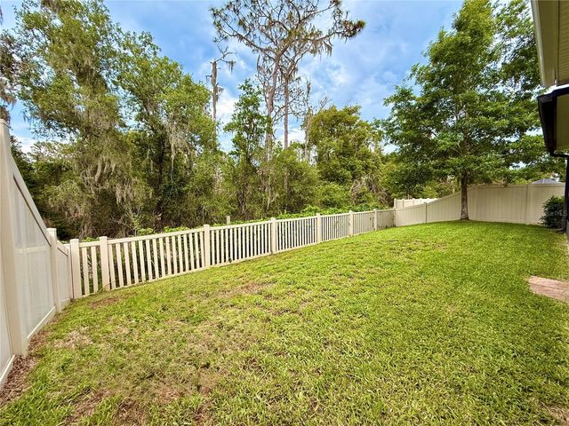 14250 BLUE DASHER DRIVE, Riverview, FL 33569