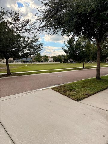 14250 BLUE DASHER DRIVE, Riverview, FL 33569