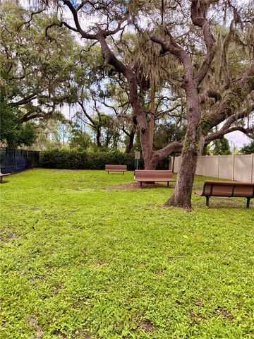 14250 BLUE DASHER DRIVE, Riverview, FL 33569