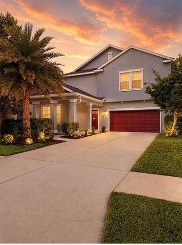 14250 BLUE DASHER DRIVE, Riverview, FL 33569