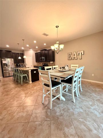 14250 BLUE DASHER DRIVE, Riverview, FL 33569