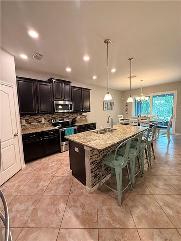 14250 BLUE DASHER DRIVE, Riverview, FL 33569