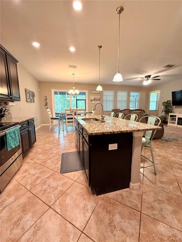 14250 BLUE DASHER DRIVE, Riverview, FL 33569
