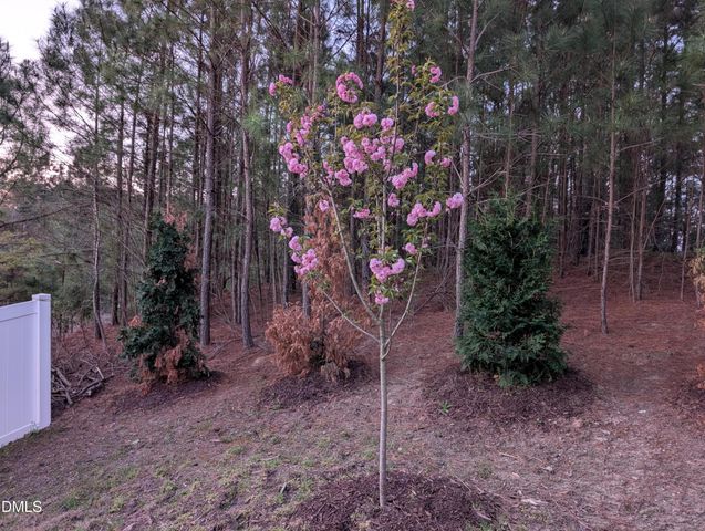 309 Napa Ridge Lane, Morrisville, NC 27560