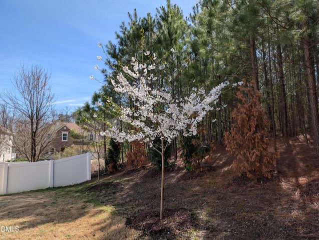 309 Napa Ridge Lane, Morrisville, NC 27560