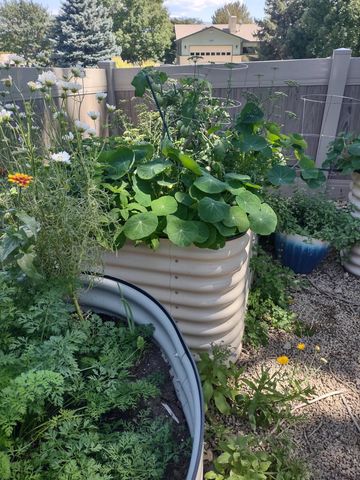 2893 Sunridge Road, Grand Junction, CO 81503