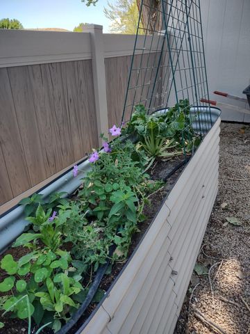 2893 Sunridge Road, Grand Junction, CO 81503