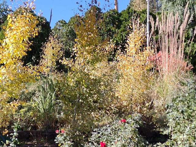 2893 Sunridge Road, Grand Junction, CO 81503