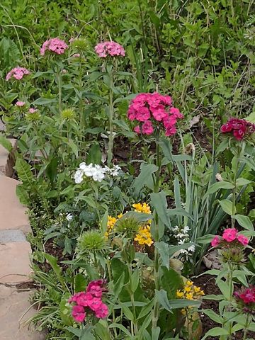 2893 Sunridge Road, Grand Junction, CO 81503