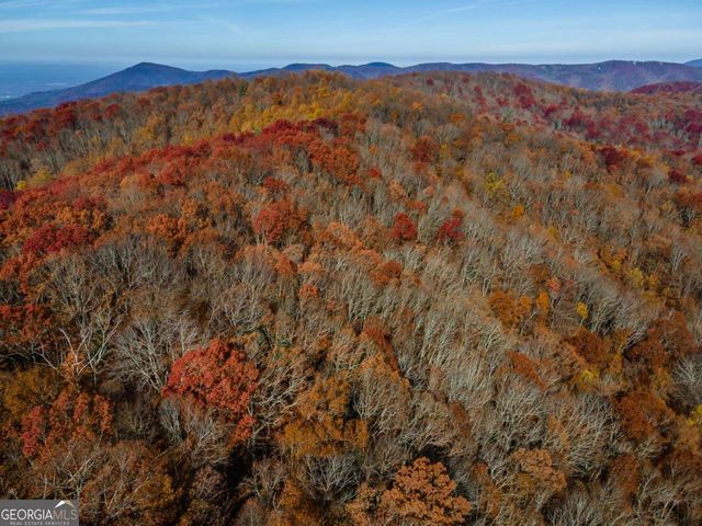 36 Utana Bluffs Trail, Ellijay, GA 30540