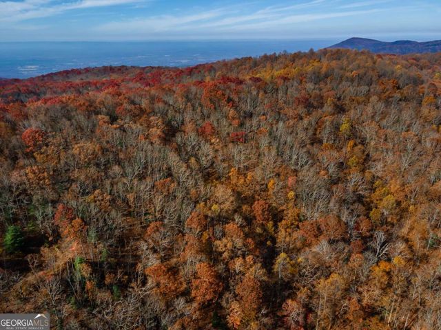 36 Utana Bluffs Trail, Ellijay, GA 30540