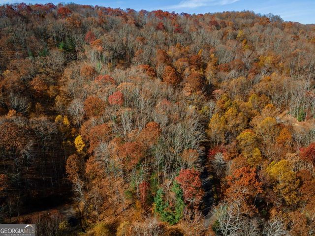 36 Utana Bluffs Trail, Ellijay, GA 30540