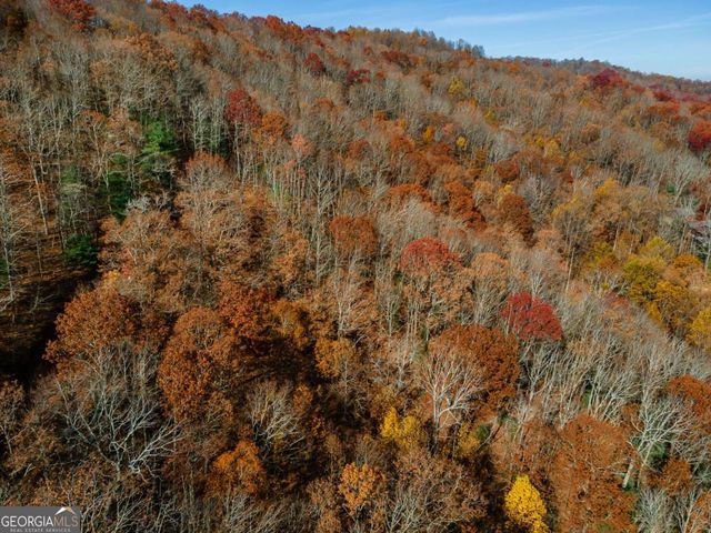 36 Utana Bluffs Trail, Ellijay, GA 30540