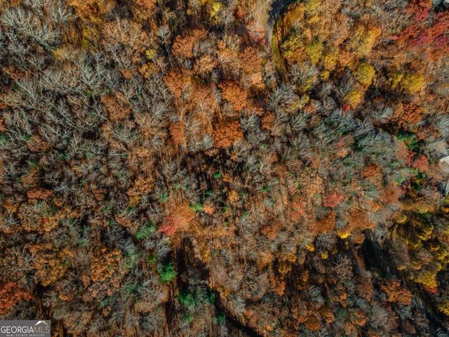36 Utana Bluffs Trail, Ellijay, GA 30540