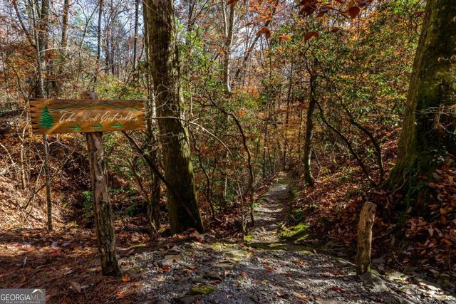 36 Utana Bluffs Trail, Ellijay, GA 30540