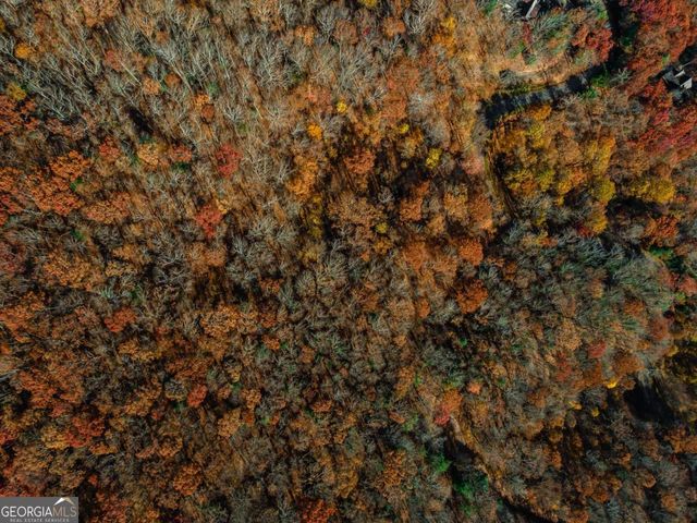 36 Utana Bluffs Trail, Ellijay, GA 30540