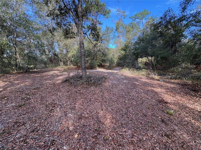 10636 PATHFINDER TRAIL, Lakeland, FL 33809