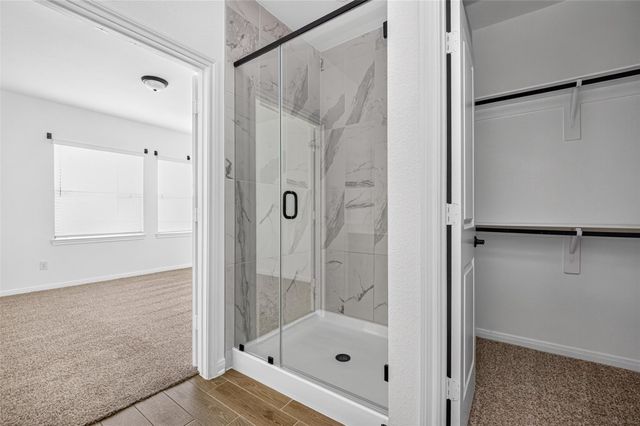 146 W Coralburst Loop, Montgomery, TX 77316