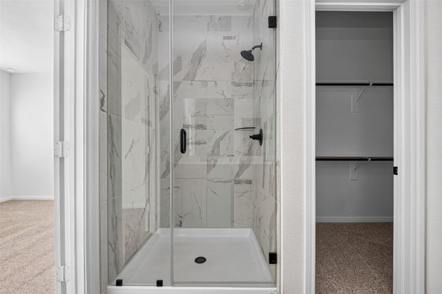 146 W Coralburst Loop, Montgomery, TX 77316