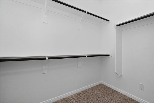 146 W Coralburst Loop, Montgomery, TX 77316